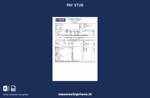 modello di busta paga Chola Business Services in stile verificato